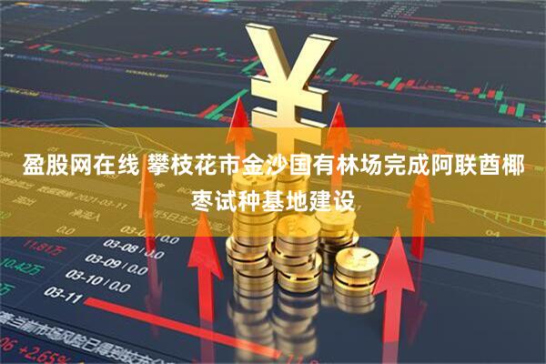 盈股网在线 攀枝花市金沙国有林场完成阿联酋椰枣试种基地建设
