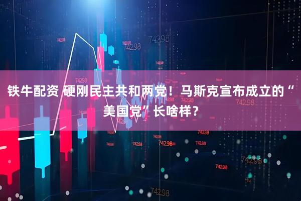 铁牛配资 硬刚民主共和两党！马斯克宣布成立的“美国党”长啥样？