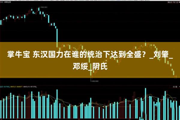 掌牛宝 东汉国力在谁的统治下达到全盛？_刘肇_邓绥_阴氏