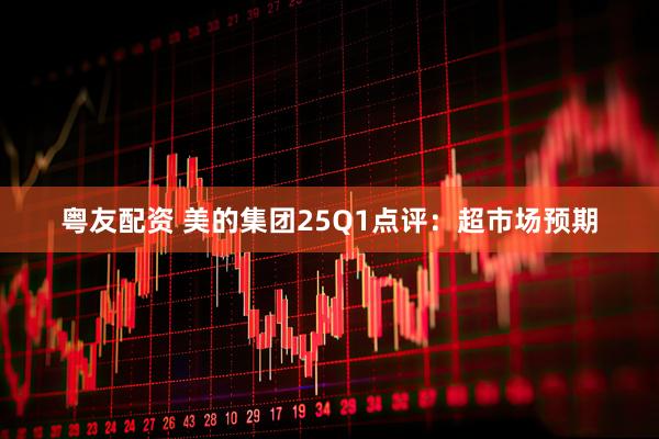 粤友配资 美的集团25Q1点评：超市场预期