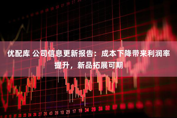 优配库 公司信息更新报告：成本下降带来利润率提升，新品拓展可期