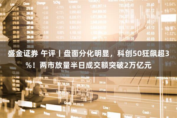 盛金证券 午评丨盘面分化明显，科创50狂飙超3%！两市放量半日成交额突破2万亿元
