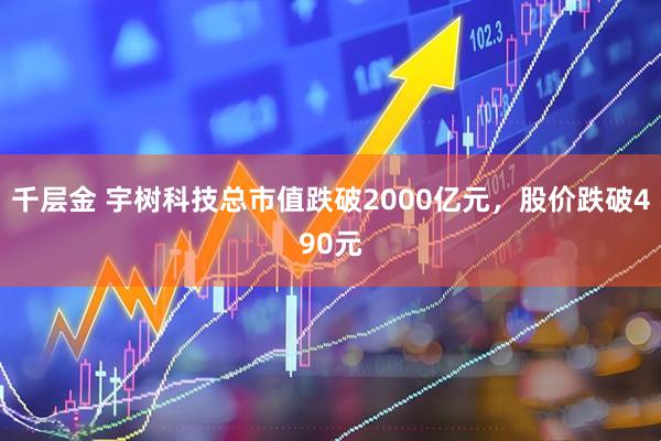 千层金 宇树科技总市值跌破2000亿元，股价跌破490元